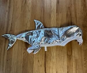 Play On Shiny Silver Dog Shark Costume, size XL